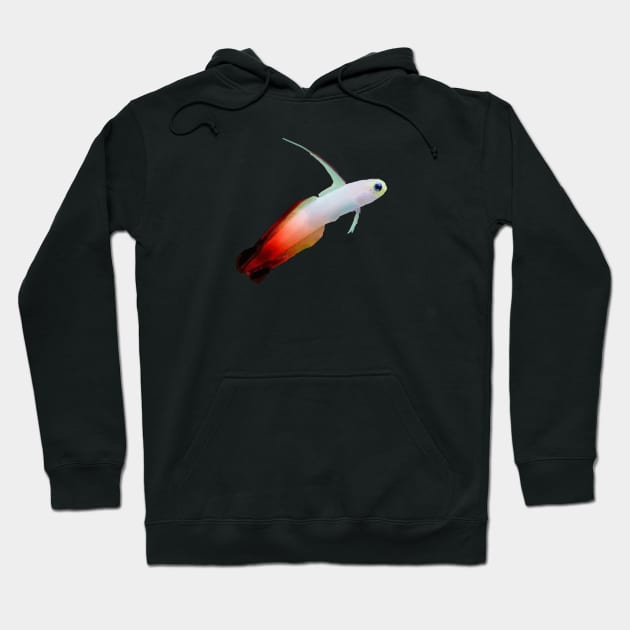 COLORFUL CORAL REEF FISH 2 Hoodie by THE-LEMON-WATCH